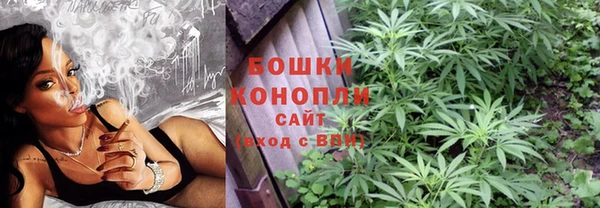 крисы Дмитровск