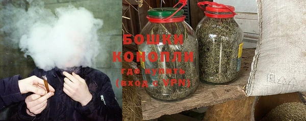 крисы Дмитровск