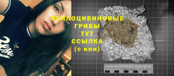 крисы Дмитровск