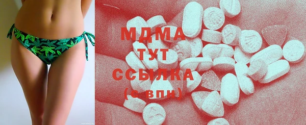 мдпв Елабуга