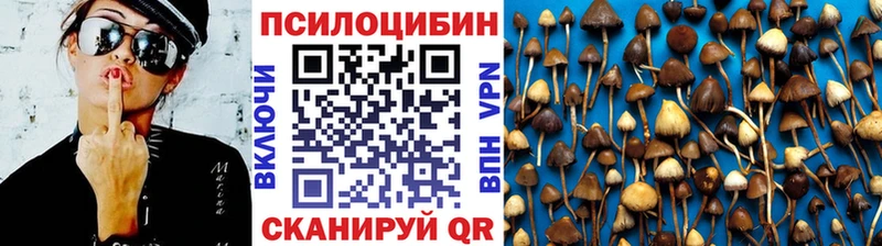 Купить закладки  Карабулак  Галлюциногенные грибы Psilocybine cubensis 